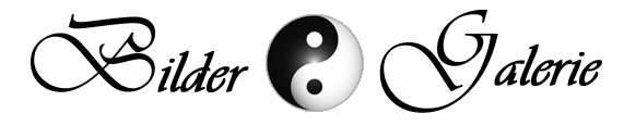 Qi Gong Bilder